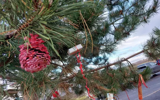 No&euml;l &agrave; Bouzel